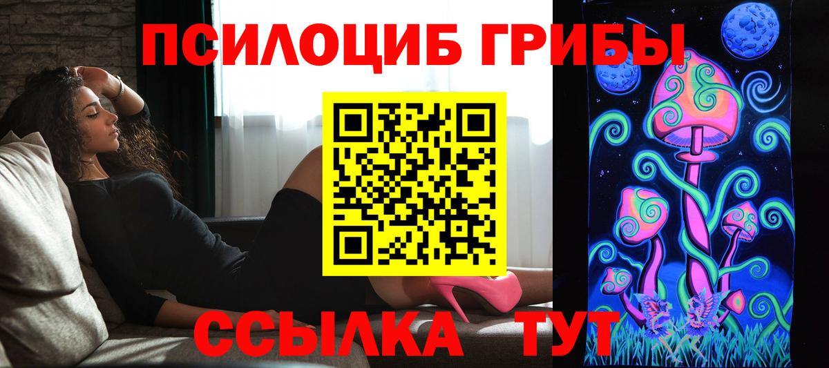 Ипатово  Псилоцибиновые грибы прущие грибы  сколько стоит  Вход с VPN  Галлюциногенные грибы мицелий 