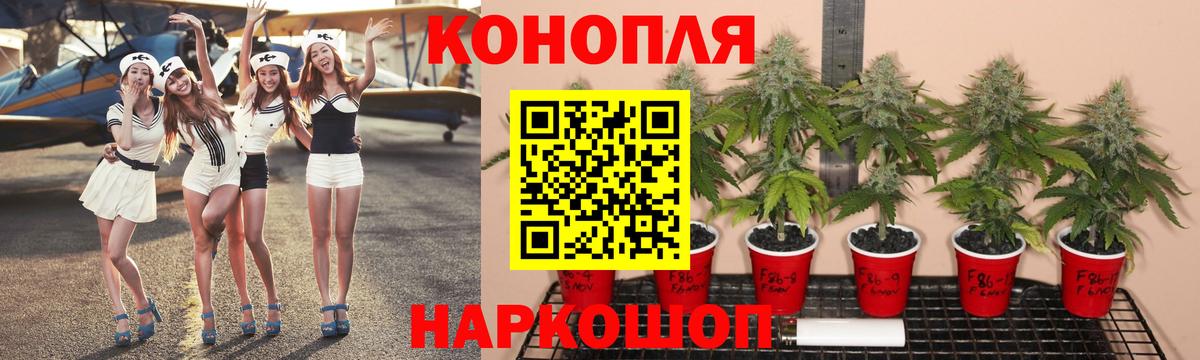 Канабис план  Бошки марихуана OG Kush  Канабис OG Kush  Вход с VPN  Ипатово 